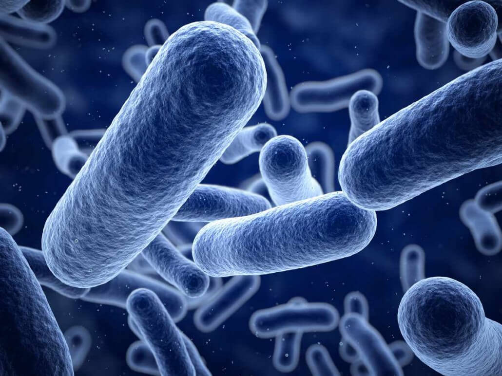 Βακτήρια Listeria