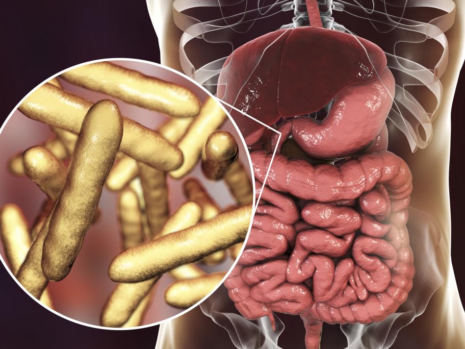 Νόσος του Whipple: συμπτώματα, αιτίες και θεραπεία Νόσος του Whipple: συμπτώματα, αιτίες και θεραπεία